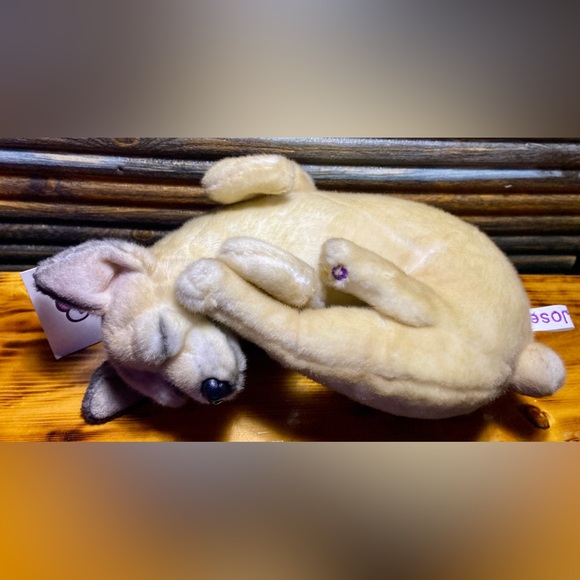 CUDDLE CLONES CHIHUAHUA - Picture 9 of 9